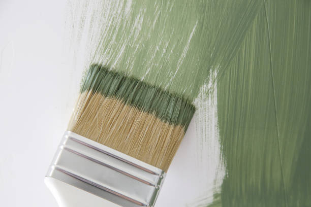 Trusted Haskins, OH Mold Removal Experts