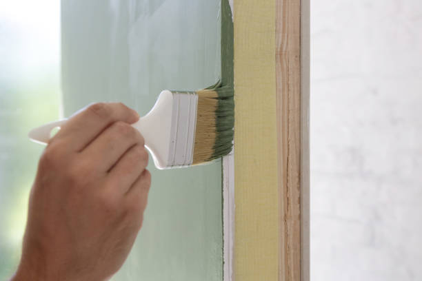 Best Basement Mold Removal  in Haskins, OH