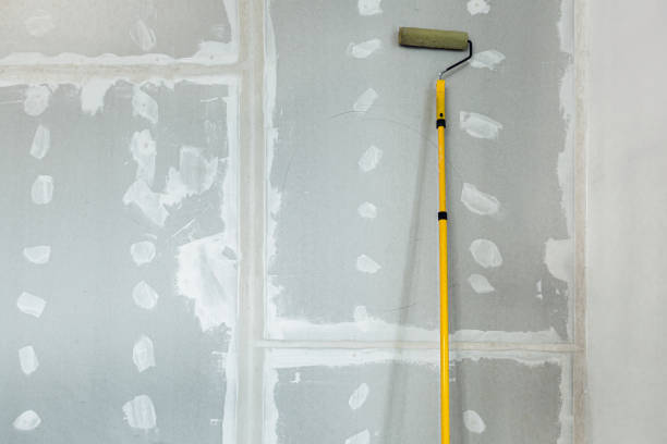 Biohazard Mold Removal in Haskins, OH