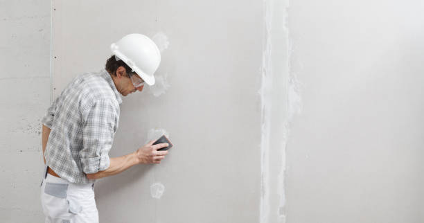 Best Biohazard Mold Removal  in Haskins, OH