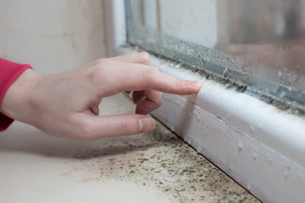 Best Post-Remediation Verification Testing  in Haskins, OH