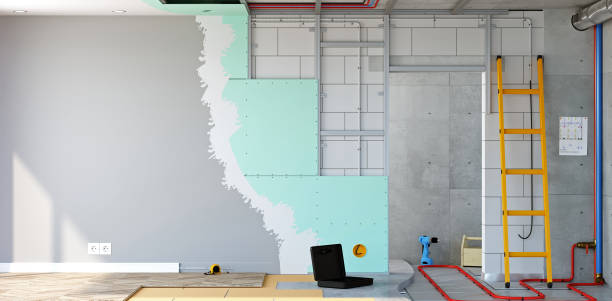 Best Asbestos and Lead Testing During Mold Inspection  in Haskins, OH