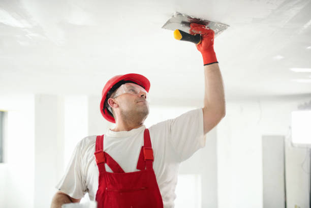 Best Mold Prevention Services  in Haskins, OH