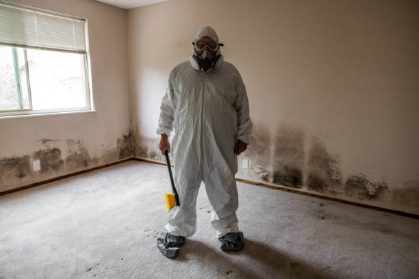 Best Crawl Space Mold Remediation  in Haskins, OH