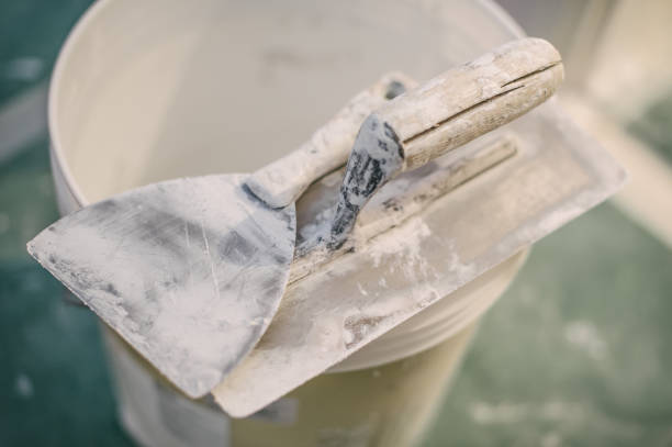 Best Mold Remediation for Healthcare Facilities  in Haskins, OH