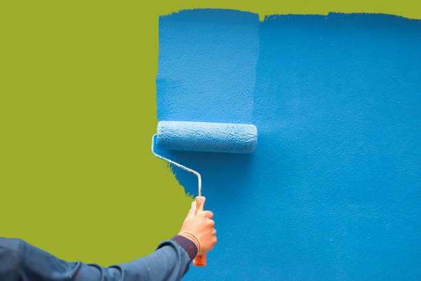 Mold Odor Removal Services in Haskins, OH